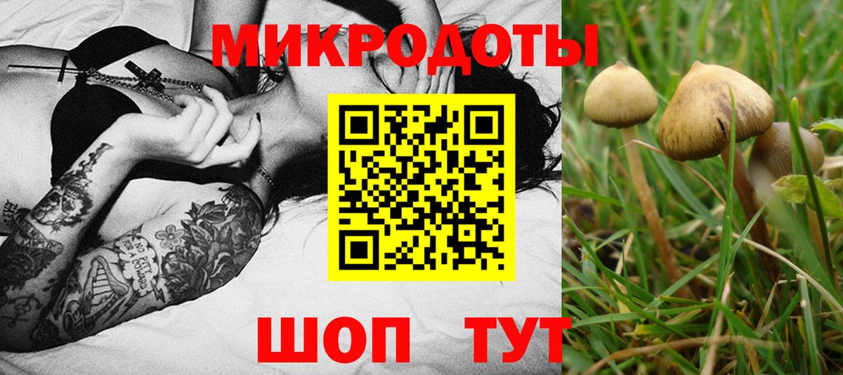 Галлюциногенные грибы MAGIC MUSHROOMS Славгород