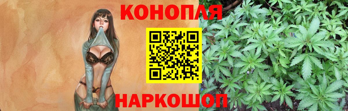 Бошки марихуана ГИДРОПОН Славгород